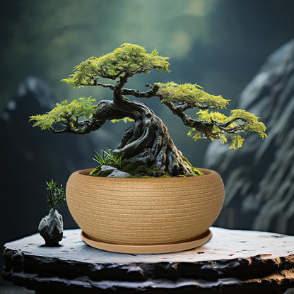 MUZHI 9.5” Round Large Ceramic Bonsai Bowl Planter，Clay Succulent Plant Pot Container with Saucer