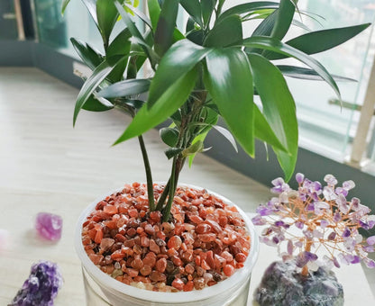 ZHIYUXI Carnelian Crystal Chips Bulk Fish Tank Gravel Vase Filler Stones Bulk Crushed Crystals Gemstone Polished Natural Quartz Healing Crystals Stone Glass Stones Fish Rocks