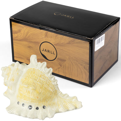 Mr.Winder Conch Shell Music Box Plays You are My Sunshine, Ocean Theme Gift for Wife Husband Daughter Grandma Sister Gifts for Birthday Anniversary Christmas Musical Box