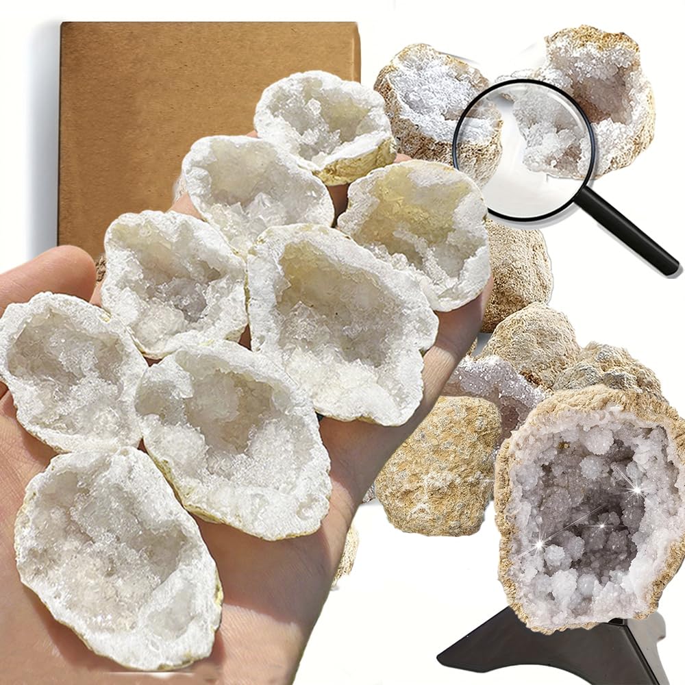 8pcs Natural Quartz Caves Knock Open in The Middle 1.2-2 inch White geode Set with Magnifying Glass and Display Stand Ideal for School Gifts and Prizes（Morocco White geode 8pcs Set）