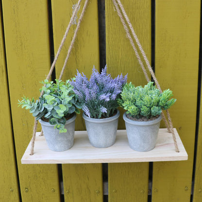 COTSEN 3 Pack Artificial Potted Plants Fake Potted Plants Artificia Eucalyptus Artificial Fake Flowers Hops Plants Artificial Lavender for Bookshelf Desk Home Decorate