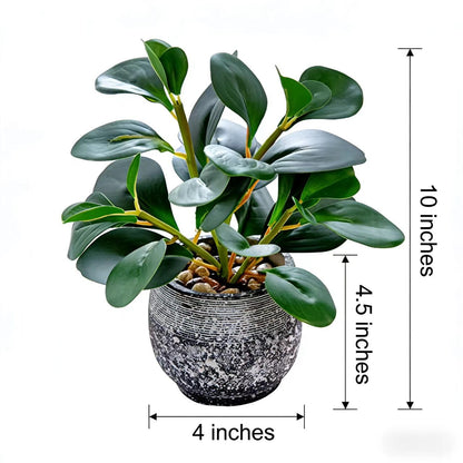 AlphaAcc Artificial Plants Potted Real Looking Small Faux Plant with Rustic Black Cement Planter for Kitchen Office Desk Bookshelf Decor (Ficus Plant)