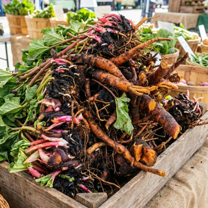 Pack 5 Rhubarb Crowns Extra Large (XL Size) Fast-Growing, Rhubarb Root Division Plant, High Yield, Rich Flavor, Red Stalks