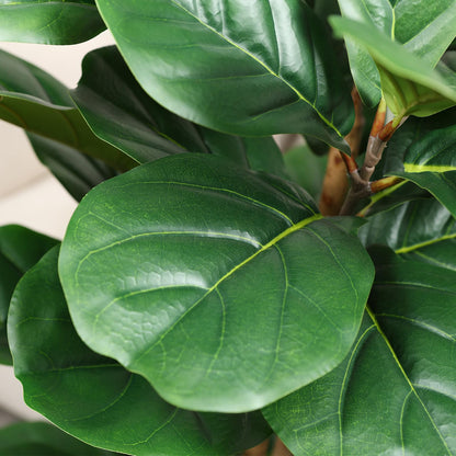 OAKRED Artificial Fiddle Leaf Fig Tree with White Planter,5ft Tall Fake Tree with Natural Wood Trunk for Home Decor, Faux Ficus Tree Fake Moss for Indoor Office Living Room