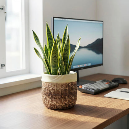 Teagas 6 Inch Plant Pot - Ceramic Pots for Plants with Drainage Hole and Plug, Unique Plant Pots for Indoor Outdoor Plants, Round Planter, Room Home Decor, Gifts for Plant Lovers, Brown