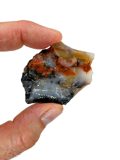 3 lbs Bulk Rough Agate, Jasper, Petrified Wood Stone Mix - 1 to 2 Inch Mixed Sizes. Natural Stones Perfect for Rock Tumbling, Wire Wrapping, Fountain, Decoration, Lapidary or Energy Stones