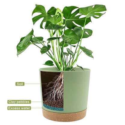 QCQHDU 8 inch Plant Pot, 2 Pack Planters for Indoor Plants with Drainage Holes & Saucer, Outdoor Flower Pots Home Garden Modern Decor