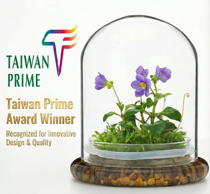 Award Winning: Persian Violet with Sundew Moss - Live Flower Terrarium in Self Sustaining Glass Jar, Maintenance Free and Blooms All-Season, Great Unique Gift and Home Decor, 100% Growth Guarantee