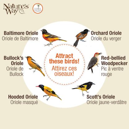 Nature's Way OFP1 All-in-One Oriole Buffet Bird Feeder, Orange
