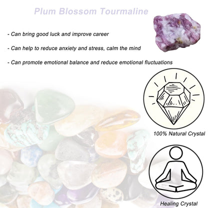 Erliway 1.25-2" Plum Blossom Tourmaline Raw Crystals, Natural Rough Plum Blossom Tourmaline Stone, Healing Stones for Fountain Rock, Home Decor Meditation Energy Balancing Wire Wrapping Reiki