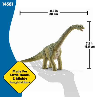 Schleich Dinosaurs - 9.5" Brachiosaurus - Realistic, Durable Green Dinosaur Toy - Educational Fun Long Neck Dino Figurine for Boys and Girls - Montessori Figures for Kids Ages 4+ | 14581