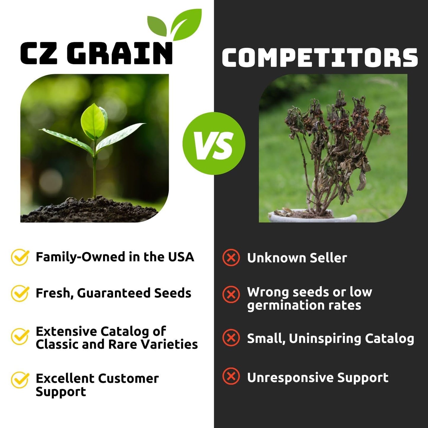 Caladium Bulbs for Planting - Mixed Colors, Growers Choice - Long Blooming Blend (12 Bulbs)