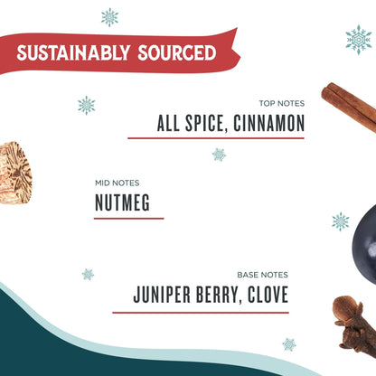 Santa's Naturals Winter Berry Christmas Candles for Holidays & Gifts, Cinnamon & Spice Scent, Soy & Beeswax Blend, 30+Hour Burn, 9 oz, 2-Pack