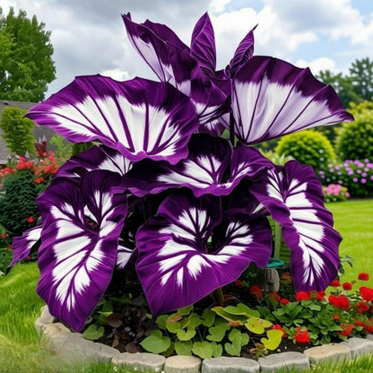 EDRHTJG Elephant Ear Tropical Foliage Large Leaf Decor for Outdoor Garden Patio Natural Green Tones-a Garden Design Essential (6)