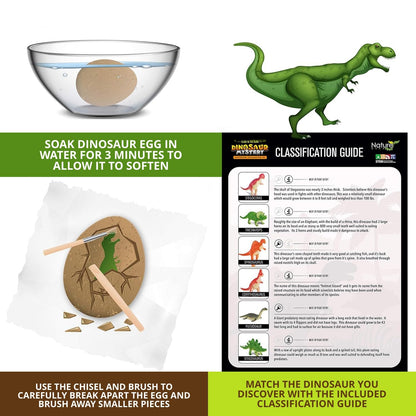 Nature Gear Dino Dig Kit for Kids, Dinosaur Eggs Digging Kit, Educational Egg Excavation Kit with 12 Glow in The Dark Mystery Dinosaurs, Interactive Archaeology Fossil Toy for Kids Age 3-5 and Up