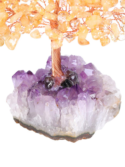 Jovivi Natural Citrine Healing Crystal Money Tree on Amethyst Cluster Geode Druzy Base Feng Shui Crystals for Home Office Desk Decorations, Wealth, Good Luck