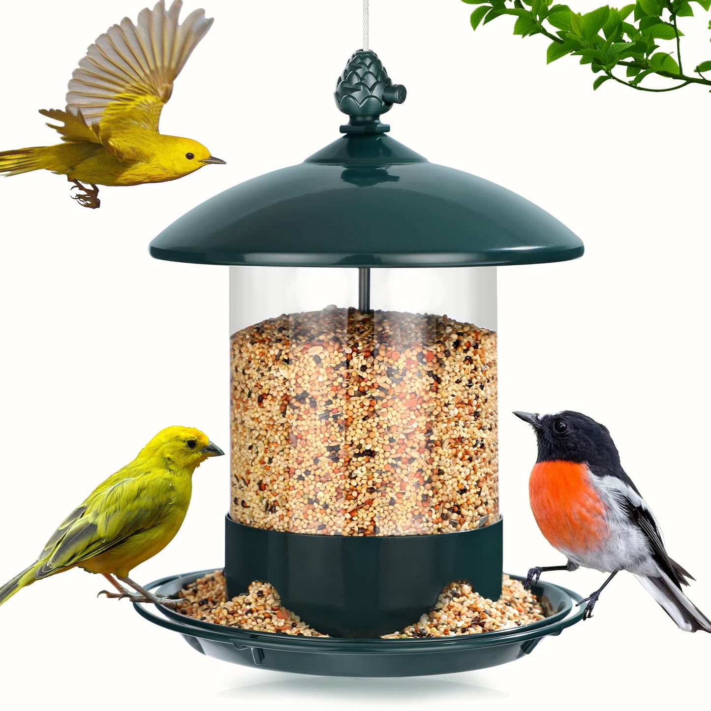 Gbekery Metal Bird Feeders for Outdoors Hanging, Weather Resistant Wild Bird Feeder with 360 Degree Feeding Tray, Green