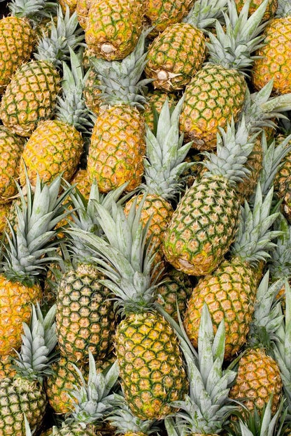New 100 pcs Pineapple Fruit Seeds Generic