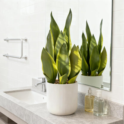 DUZYXI Artificial Realistic Snake Plant 16" with White Ceramic Pot Fake Snake Plants Sansevieria Greenery Faux Snake Plant for Home Office Living Room Housewarming Gifts Indoor Decor