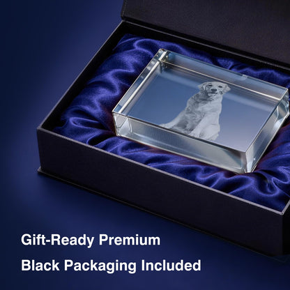 P&L ART. Custom 3D Crystal Photo Personalized Memorial Gifts, Laser Engraved Glass Remembrance Picture Frame with LED Base for Pet Dog Cat Loss (Rectangle S/M/L/XL)