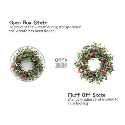 Idyllic Christmas Wreath for Front Door,20" Winter Wreath with Pine Cones Red Berries and Eucalyptus, Winter Decorations for Everyday Farmhouse Window Outdoor/Indoor