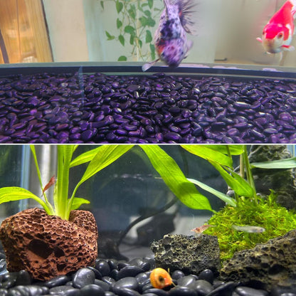 SHIZWU Natural Black River Rocks - 2-3 inch 5LB High Polished Decorative Pebbles, Black Stones for Landscaping, Natural River Rocks for Outdoor Décor, Polished Pebbles for Plants.