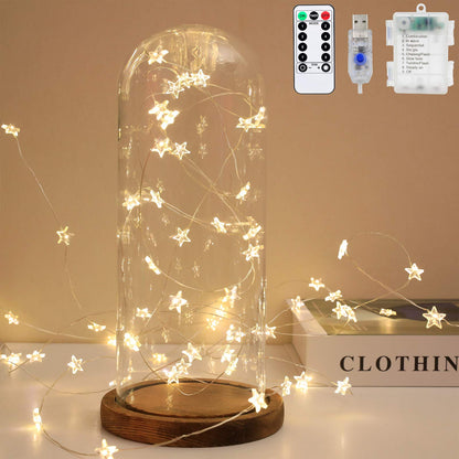 Twinkle Star String Lights 40 LED Spring Garden Decorative Indoor Outdoor Fairy Light USB & Battery Operated Lights 13ft Waterproof Lights with Remote Control for Festival Party Bedroom Decoration