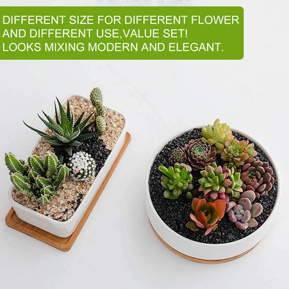 DeeCoo Succulent Pots, White Ceramic Flower Succulent Planters Pot with Bamboo Tray, 1 Rectangle Flower Pot + 1 Round Flower Pot 6.5" Drainage Hole for Cactus