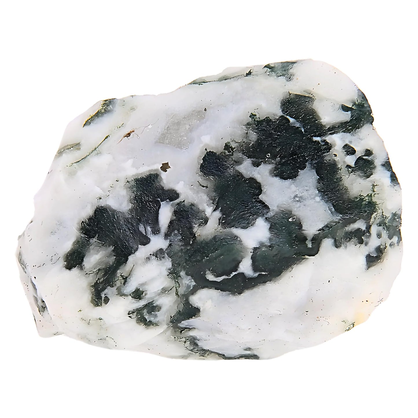 ANAYA AGATE Tree Agate 2 Pcs Raw Crystals Rough Gemstones w/Authenticity Card, Velvet Pouch - Large 1.25–2.0" Raw Stones for Tumbling, Cabbing, Polishing, Cutting Natural Healing Crystals for Home Decor, DIY Stones