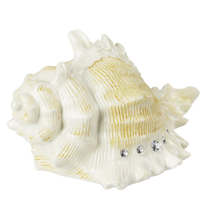 Mr.Winder Conch Shell Music Box Plays You are My Sunshine, Ocean Theme Gift for Wife Husband Daughter Grandma Sister Gifts for Birthday Anniversary Christmas Musical Box