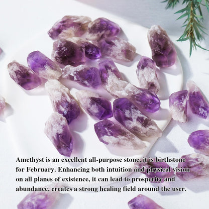 Apengshi 1/2 lb(230g) Natural Amethyst Crystal Points Irregular Rough Crystal Stone Raw Crystal Gemstones Bulk Chakra Stones Meditation Reiki Collect Handmade DIY