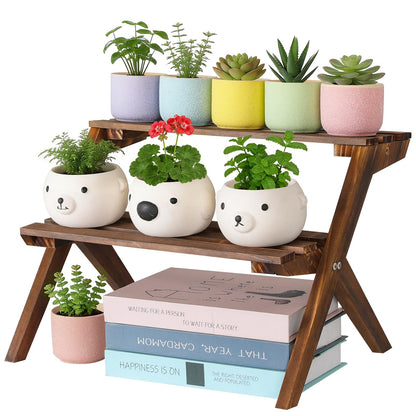 Jotboom 2 Tier Small Wood Plant Stand for Desktop, X-Frame Windowsill Plant Shelf Indoor, Table Top Mini Ladder Flower Pot Holder Display Rack for Succulent, Herbs, Decorations, Kitchen Spices