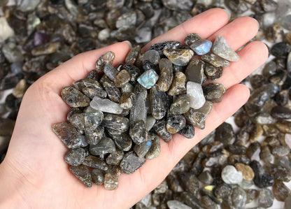 LAIDANLA Labradorite Crushed Stone Crystal Chips Bulk Natural Gemstones Healing Reiki Crystals Mini Quartz Vase Filler Aquarium Gravel 100g