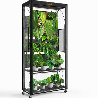 Bstrip Plant Cabinet with 3-Tier Shelf & 36.6"x14.5"x69.7" Greenhouse Cover Replacement with Base Tray – Indoor Transparent Plant Tent for 35.4"x13.8"x71" Shelf, 4x96W Grow Lights