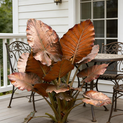Hardy Elephant Ear Plant Bulbs | Tropical Colocasia for Home Garden & Outdoor Patio Landscaping (2)