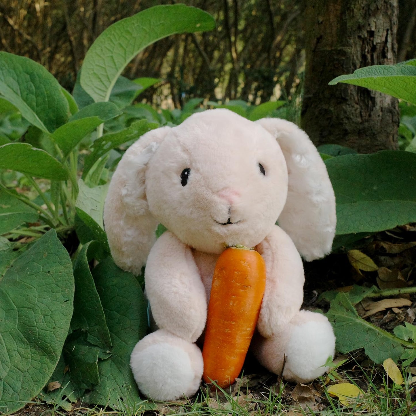 The Peanutshell Plush Bunny Stuffed Animal - 10 inch - Baby Safe - Machine Washable - Soft Bunny Rabbit Baby Toys, Newborn Infant Toddler, Plushies for Boys Girls, Stuffies, Nursery Decor