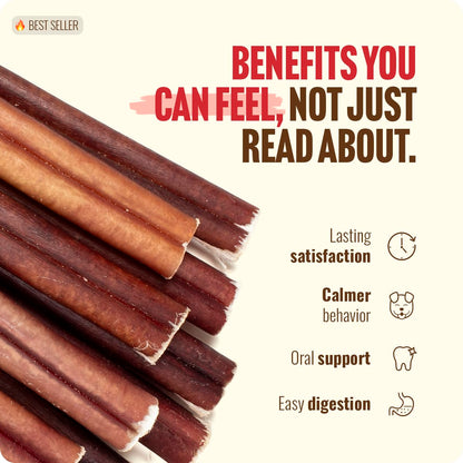 Natural Farm Bully Sticks, Odor-Free (12 Inch, 5 Count), 8.8 Oz. Per Bag, 100% Beef Chews, Grass-Fed, Non-GMO, Fully Digestible Dental Treats to Keep Your Small and Medium Dogs Busy and Happy