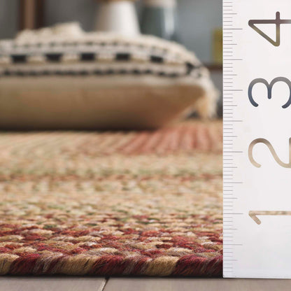 SAFAVIEH Washable Rug Outdoor Braided Collection - 5' x 8' Oval, Rust & Multi, Handmade & Reversible, Non-Shedding & Easy to Clean, Ideal for Patio, Backyard, Mudroom (BRD303A)