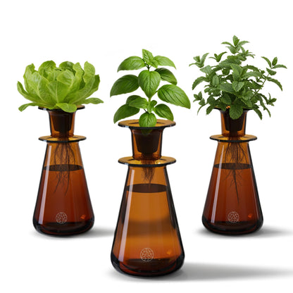 Lettuce Grow Counterstand Hydroponic Garden, Indoor Gardening System Hydroponics Growing System Kit, Herb Garden Planter Indoor Kit Countertop Vase Style No Grow Light