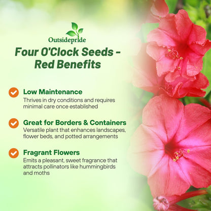 Outsidepride Red Four O'clock Flower Seeds - 1 lb Perennial Fragrant, Trumpet-Shaped Blooms, Deer-Proof & Easy to Grow, for Pollinator & Evening Gardens, Containers, Hedges, or Borders