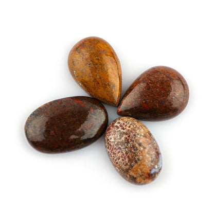 CRYSTALINES 4pcs, Wholesale Natural Dinosaur Bone Gemstones, Bulk Flatback Cabochon Fossil Stone, Polished Loose Supplies for Jewelry Making, Wicca Reiki Healing Crystals, Wire Wrap, Gem Collection