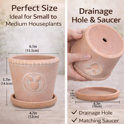 FREEMOON Color-Changing Terracotta Plant Pot with Saucer, Natural Clay Planter with Drainage Hole, Visual Watering Reminder (All-Natural), Retro Rabbit Head Pattern for Indoor/Outdoor Plants, 6 Inch
