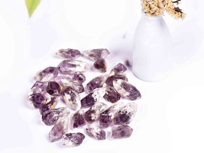 JIC Gem 24-30Pcs 0.4-0.5 Lbs Bulk Amethyst Healing Crystals Rough Stones,raw Amethyst Point Bulk,Amethyst Chips Bulk,for Reiki Healing,DIY Jewelry Making, Witchcraft, Tumbling, Fountain Rocks