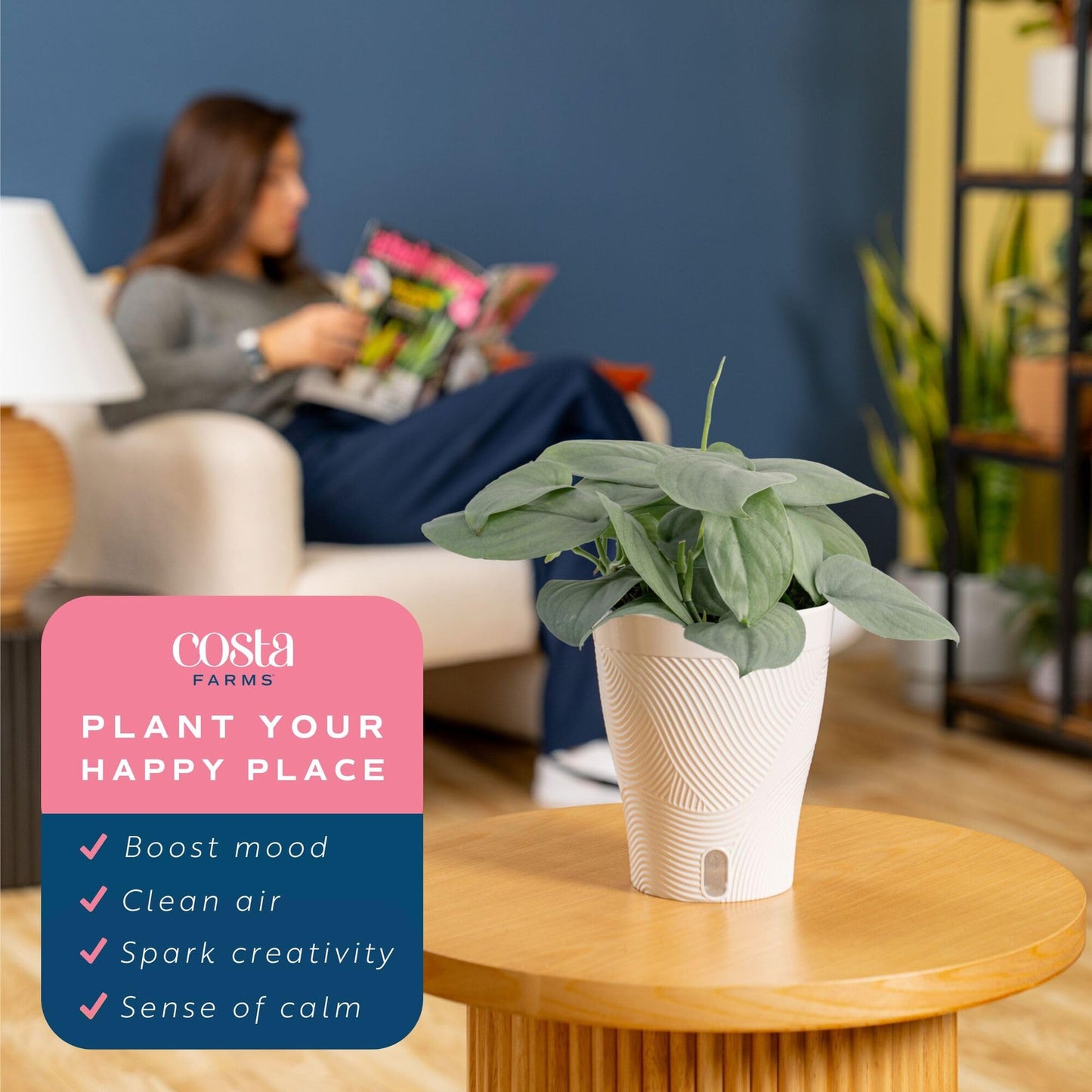 Costa Farms Scindapsus Platinum Java Live Plant in Self Watering Pot, Indoor Houseplant, Perfect for Home, Room, or Office Decor, Great House Warming or Birthday Gift, 9-12 Inches Tall