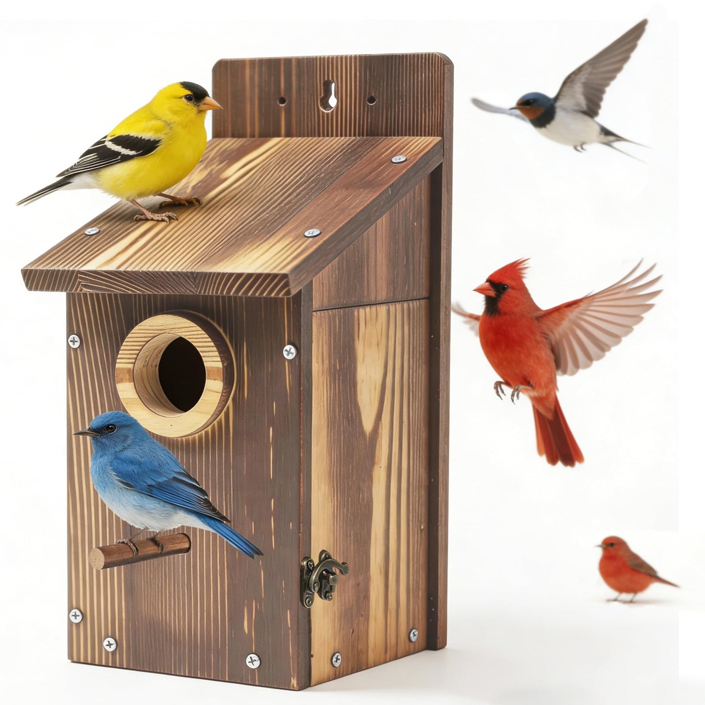 Zxweqr Natural Wood Birdhouse for Outside, Wooden Nesting Box with Circular Entrance Hole and Perch， Blue Bird Houses for Outdoors with Clear View Panel & Predator Guard for Blue Robin, Wren, Swallow