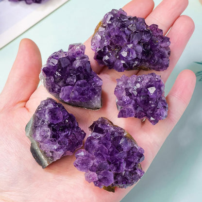 Erliway Natural Amethyst Crystal Cluster, 1.5''-2.4'' Amethyst Quartz February Birthstone, Raw Crystals and Healing Stones for Birthday Gift Reiki Healing Meditation Home Decor (0.11-0.13 lb)