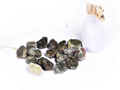 JIC Gem 12-16Pcs 0.7 Lbs Natural Green Apatite Quartz Crystals Bulk raw Stones Irregular Shape Madagascar Natural Quartz Crystals Rough Stones