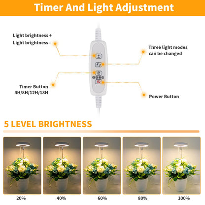 GooingTop LED Grow Light, Halo Plant Growing Lamp for Indoor Plants Growth, Full Spectrum Low Light for Small Plants,Timer 4/8/12/18 Hrs & Variable Spectrum White Red Blue,3 Pack