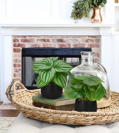 Briful 3PCS Fake Plants Potted Artificial Plants Mini Faux Plants in Black Ceramic Pots Greenery Décor for Home Office Table Room Farmhouse Indoor Decoration