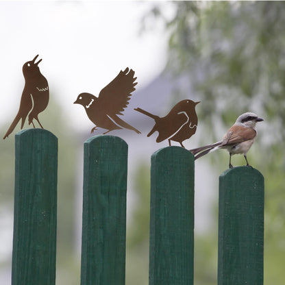 MIRATE 5PCS Rusty Metal Birds Decoration,Outdoor Fence Yard Decor,Metal Birds Craft Statue Ornaments for Yard Art,Garden Decor